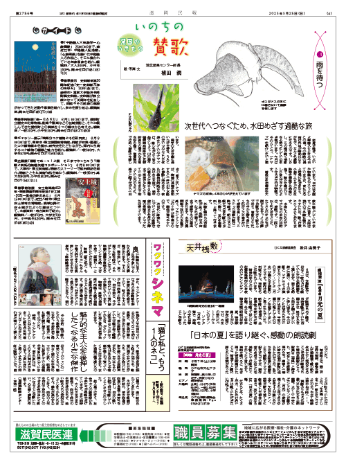 4面画像