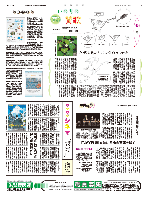 4面画像