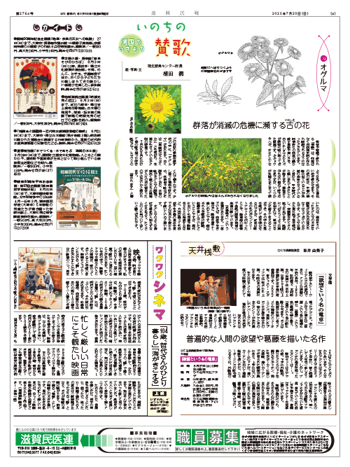 4面画像