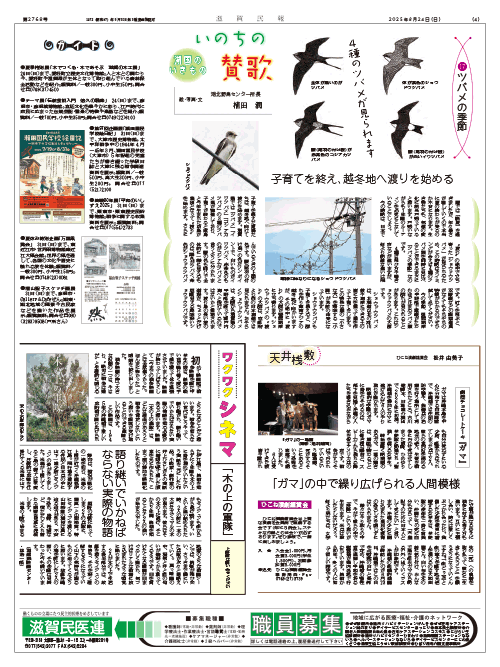 4面画像