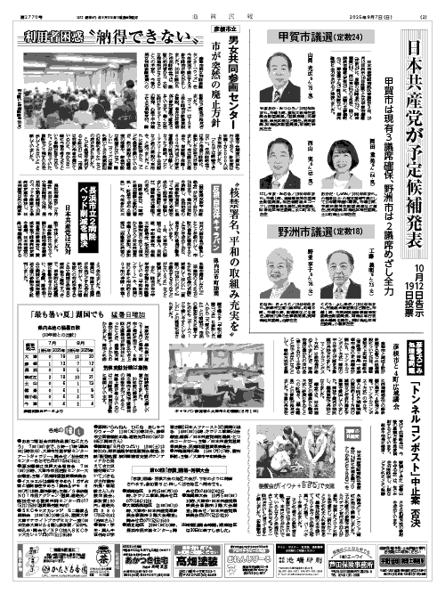 2面画像