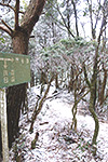 忍者岳への稜線写真
