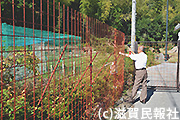 長浜市獣害対策で設置された防護フェンス写真