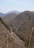 林道から見える霊仙山遠望写真