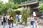 大津市・長等神社の茅の輪くぐり写真