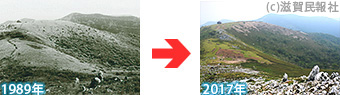 霊仙山の1986年と2017年の比較写真
