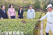 茶農家から被害の様子を聞く日本共産党議員ら写真