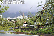 台風21号滋賀県内被害写真
