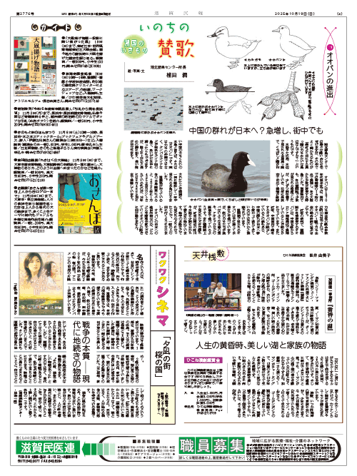 4面画像