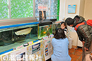 大津市立伊香立中学校内の伊香立水族館展示写真